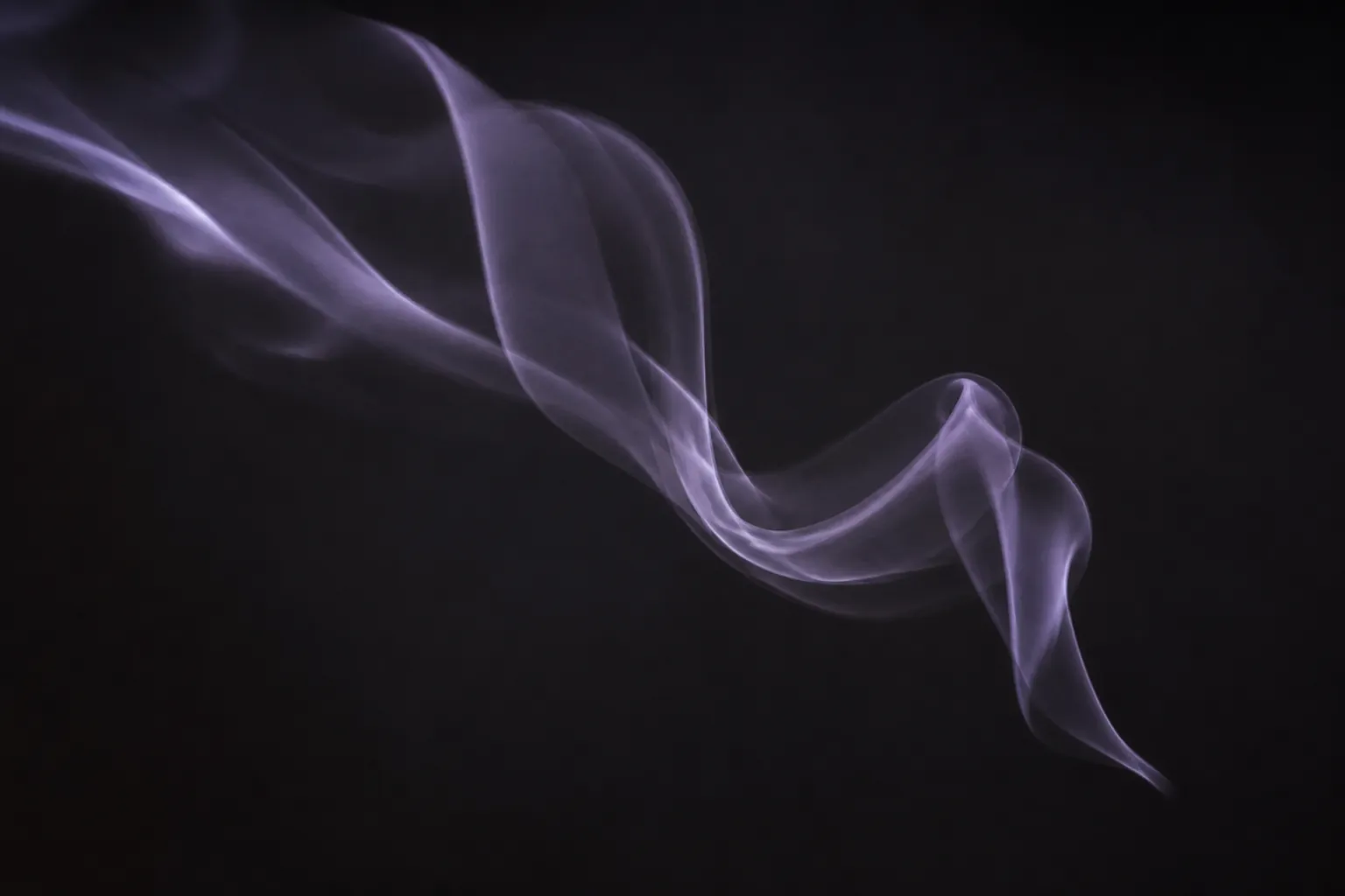 Smoke study